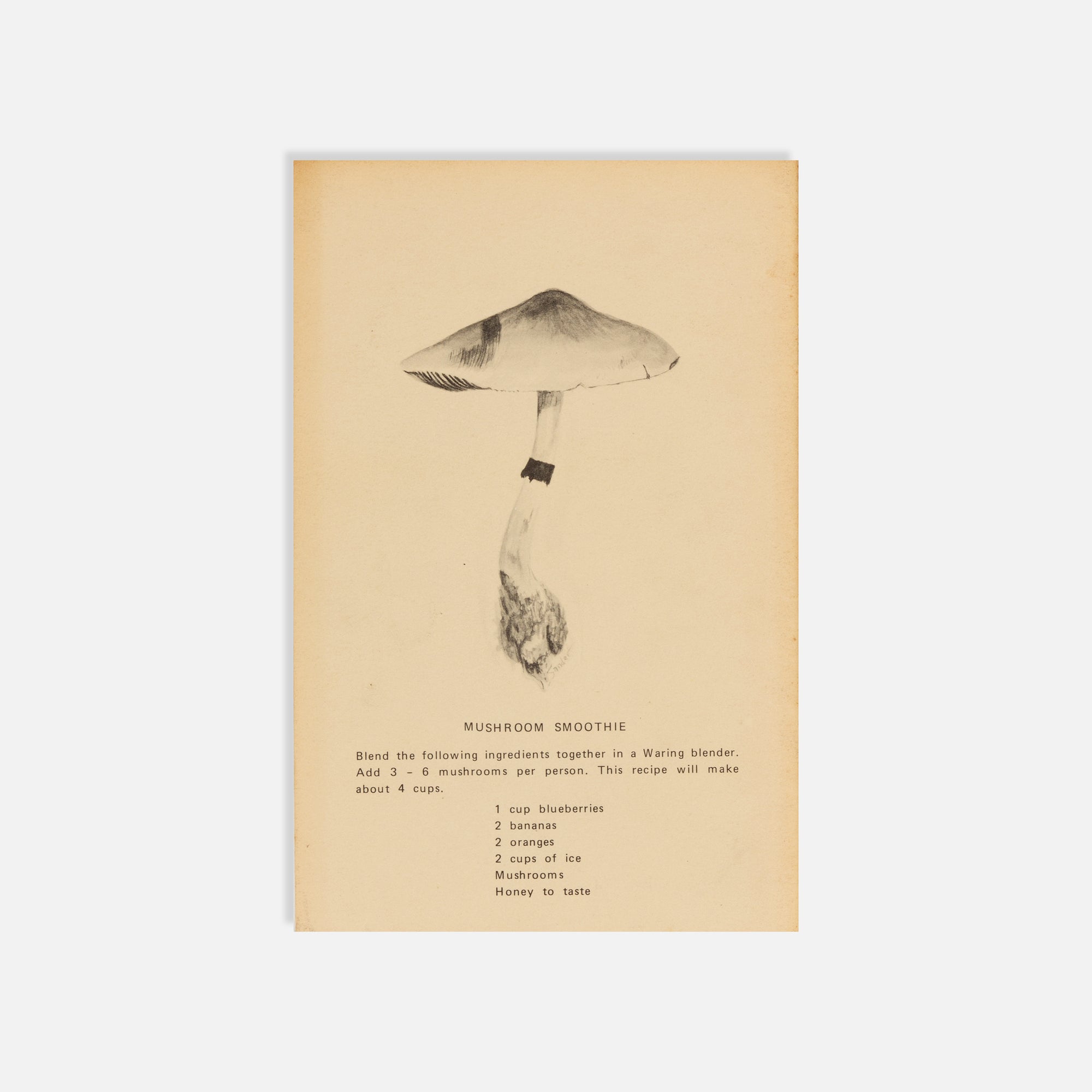 F.C. Ghouled, Field Guide to the Psilocybin Mushroom