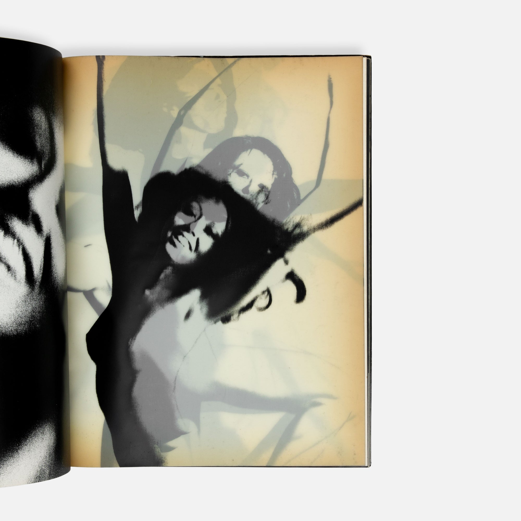 Tad Wakamatsu, Ipy Girl Ipy