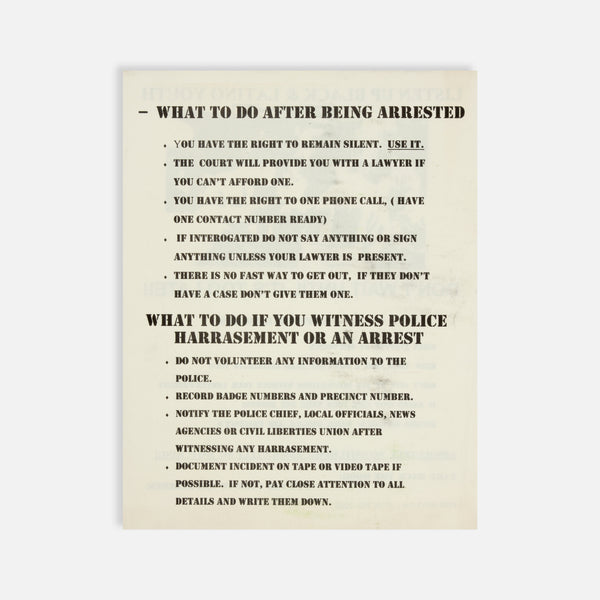 Racial Profiling, Know Your Rights Flyer