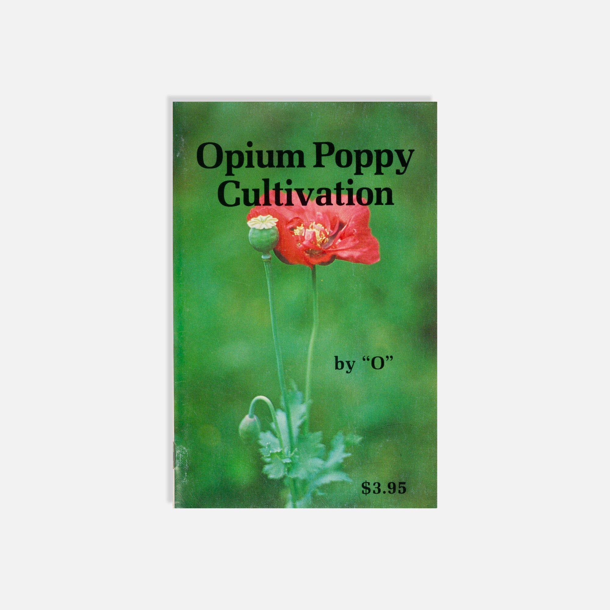 O, Opium Poppy Cultivation