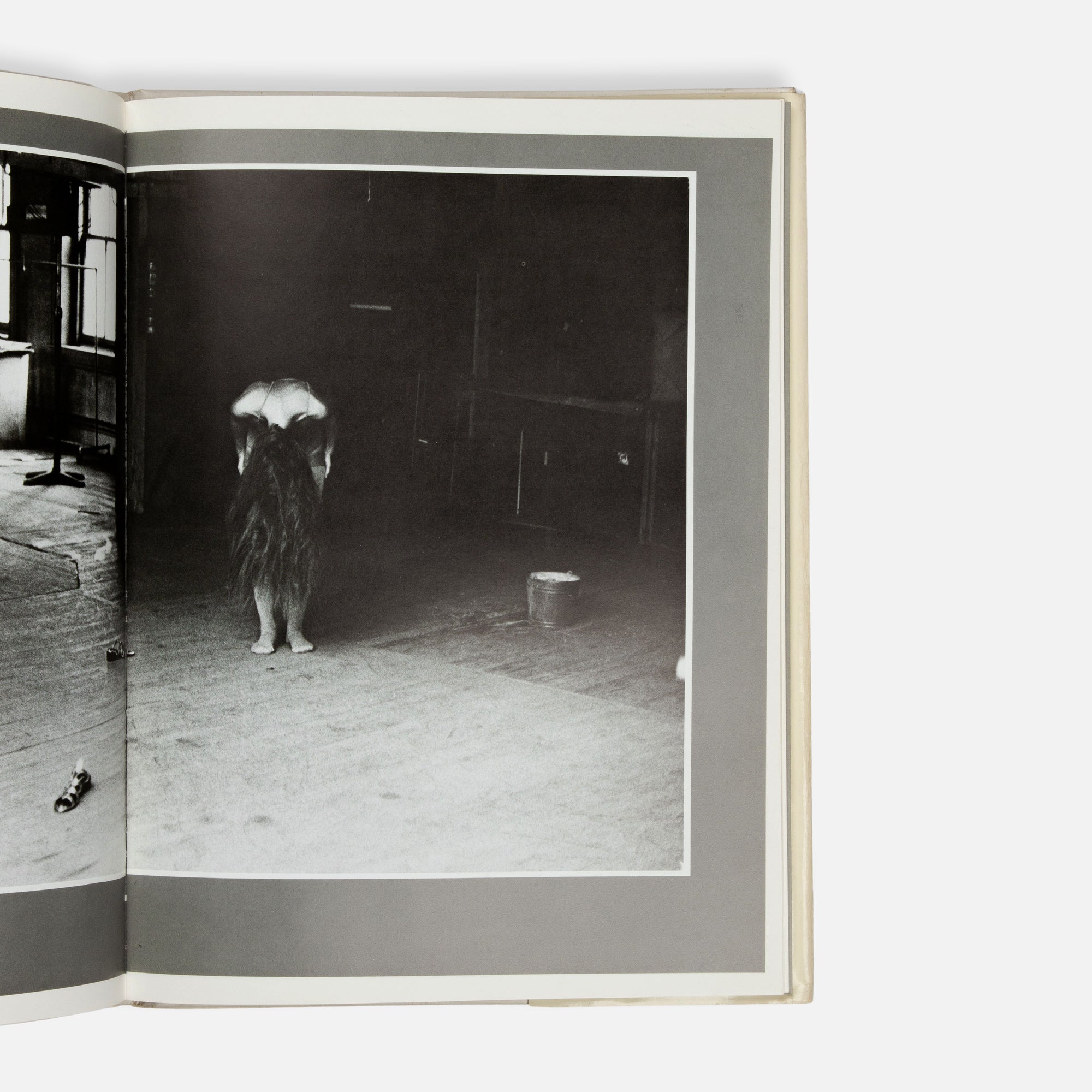 Deborah Turbeville, Wallflower